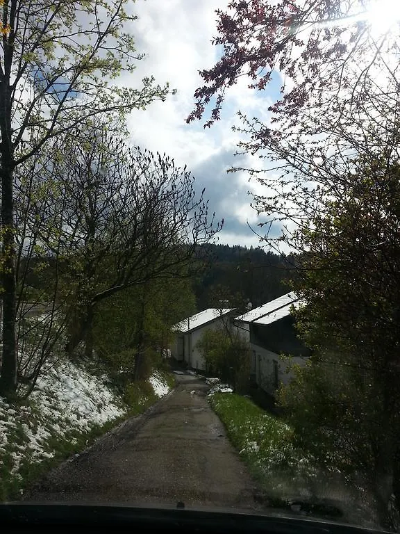Schöfweg Dingolfinger Haus 호스텔